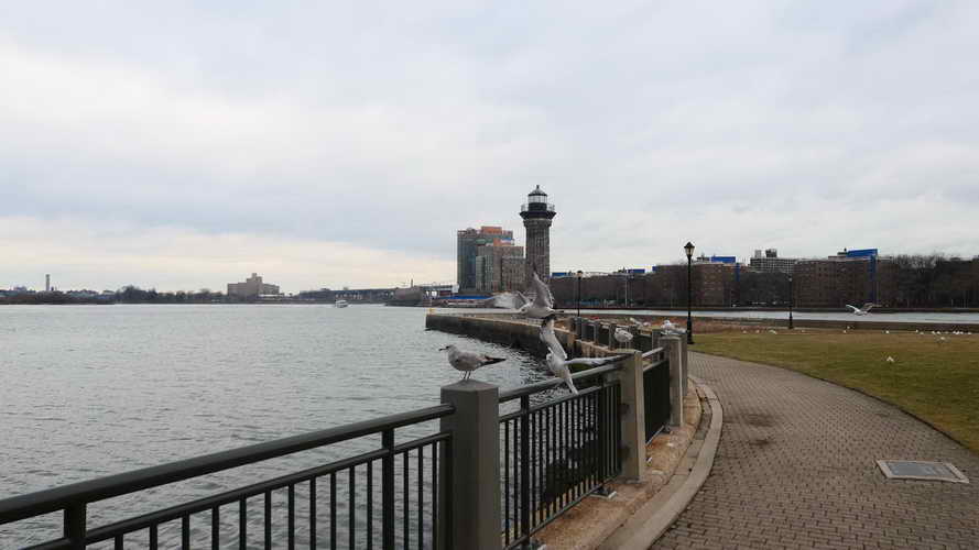 NYC_2020-01-27 11-06-41_P1070936